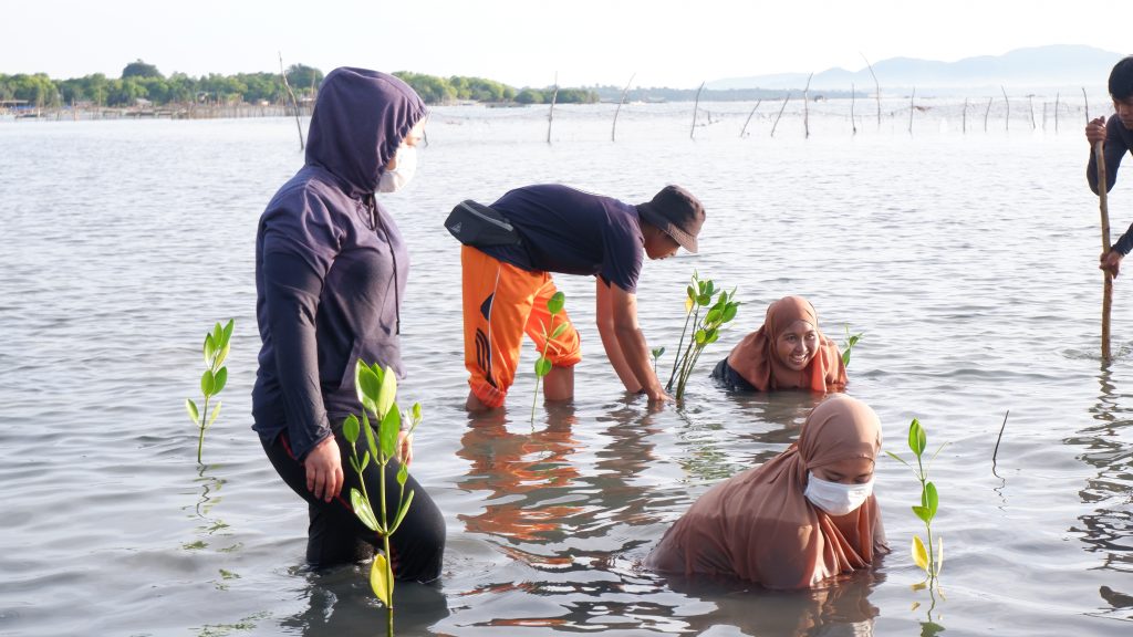 Tingkatkan kapasitas KPPI soal budidaya tanaman mangrove melalui studi banding di Sinjai dan Takalar